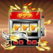 8855bet11