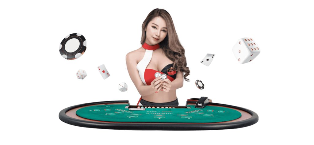 8855bet11