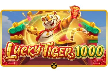 8855bet11